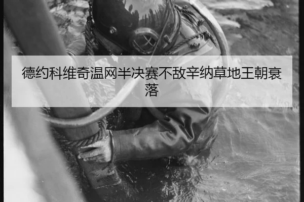 de-yue-ke-wei-qi-wen-wang-ban-jue-sai-bu-di-xin-na-cao-di-wang-chao-shuai-luo-2-437.jpg